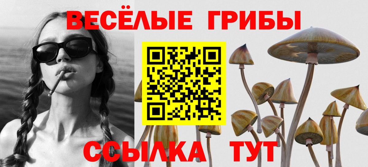 Галлюциногенные грибы Psilocybe  Галлюциногенные грибы мухоморы  Вход с VPN  Камышлов 