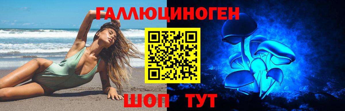 Галлюциногенные грибы ЛСД Камышлов